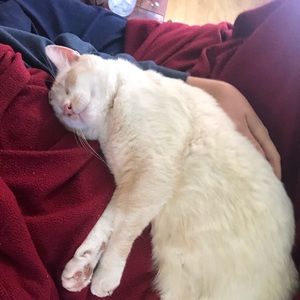 Meet your Posher, Talli